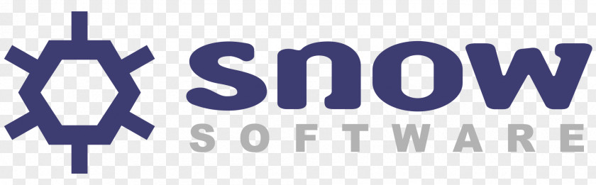 Software Asset Management Computer License Manager Snow AB IT PNG