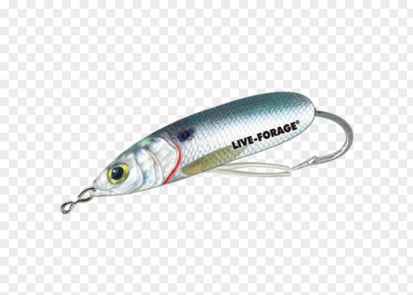 Spoon Lure Sardine Oily Fish AC Power Plugs And Sockets PNG