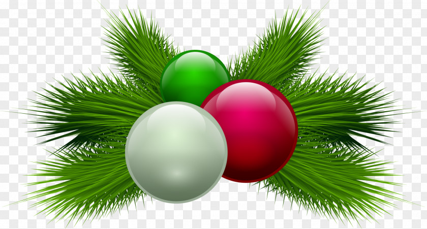 The Green Ball Plant Christmas Candle Clip Art PNG