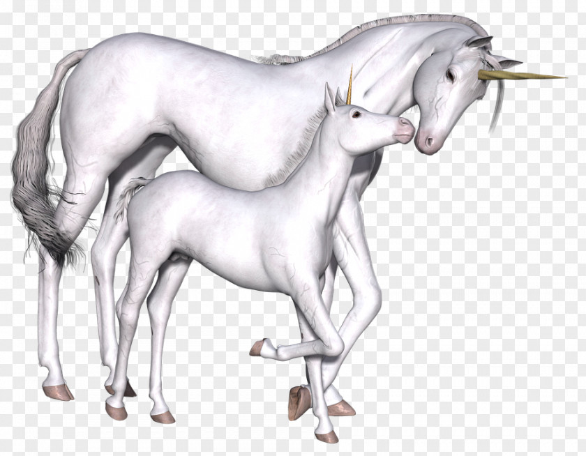 Unicorn Fairy Tale Imaginary Myth Game PNG