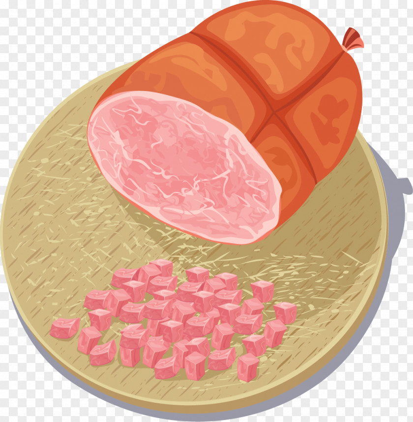 Vector Painted Sausage Ham Mortadella Bologna Cortado PNG