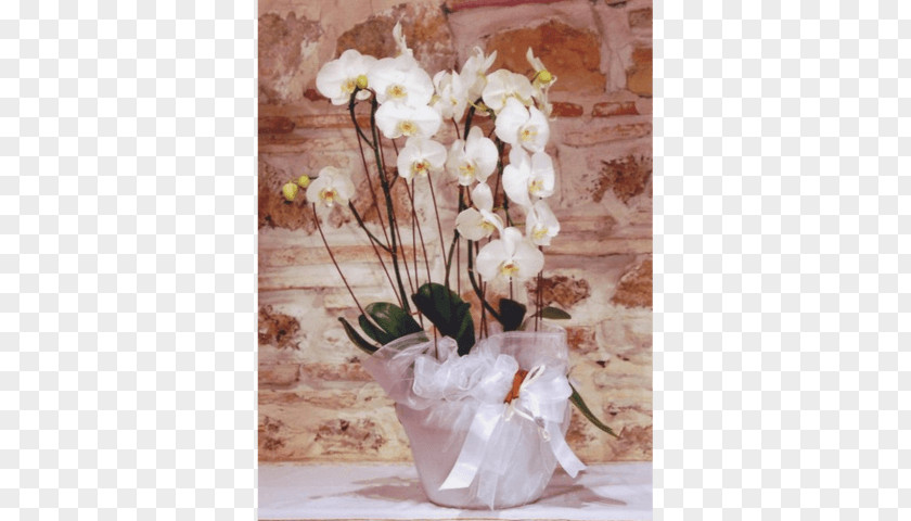 Addobbi Floreali Rieti Floral Design Flower Floristry Interflora PNG