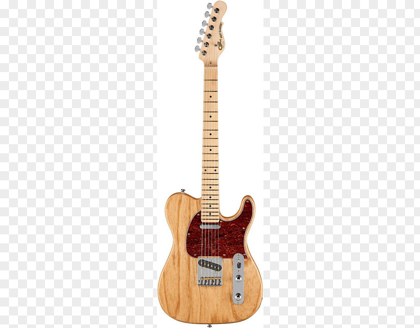 Electric Guitar Fender Telecaster Thinline Stratocaster American Professional Musical Instruments Corporation PNG
