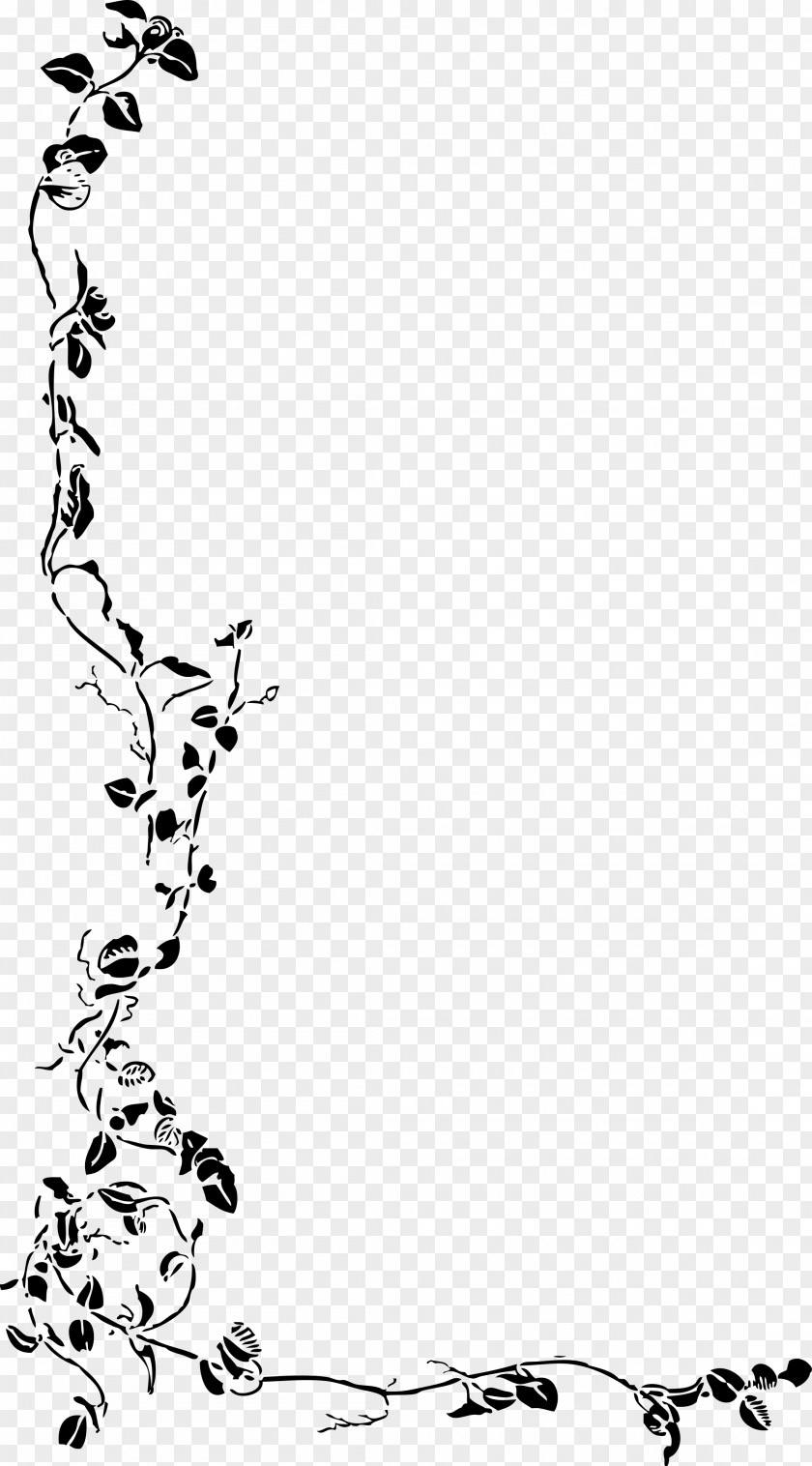 Floral Corner Ivy Vine Drawing Clip Art PNG