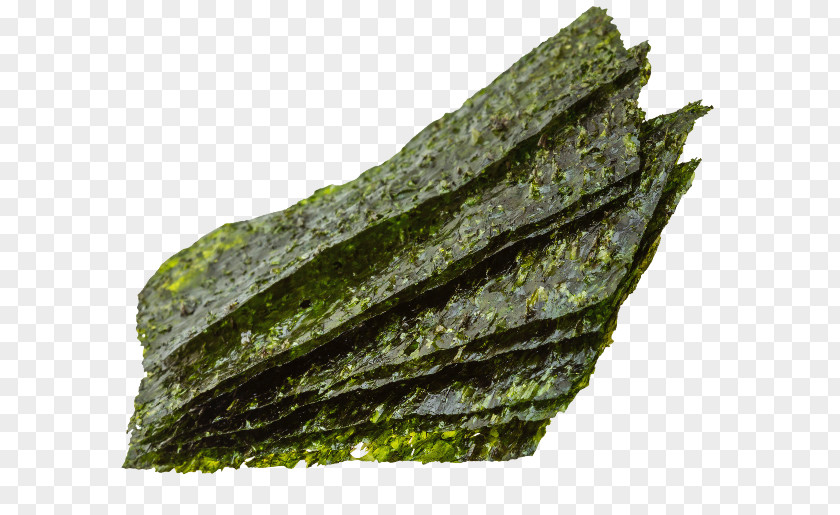 Alg Algae Nori Seagrass Spinach Food PNG