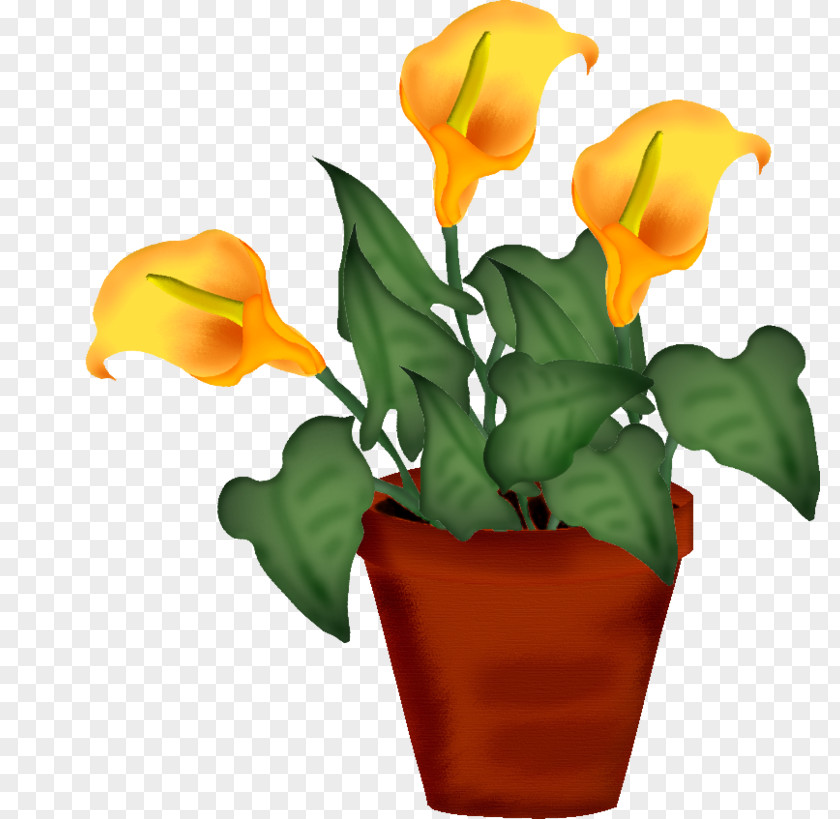 Flower Painting PNG