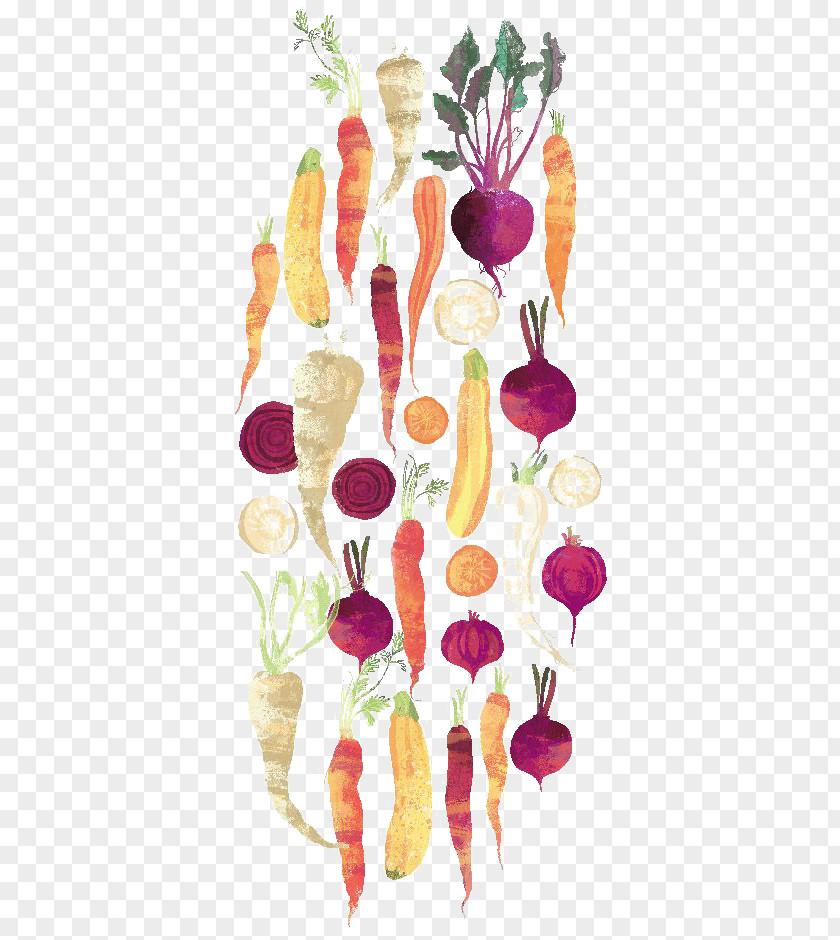 Hand-painted Vegetable Floral Design Watercolor Painting Carrot PNG