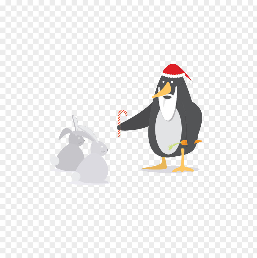 Penguin Cygnini Goose Duck Anatidae PNG