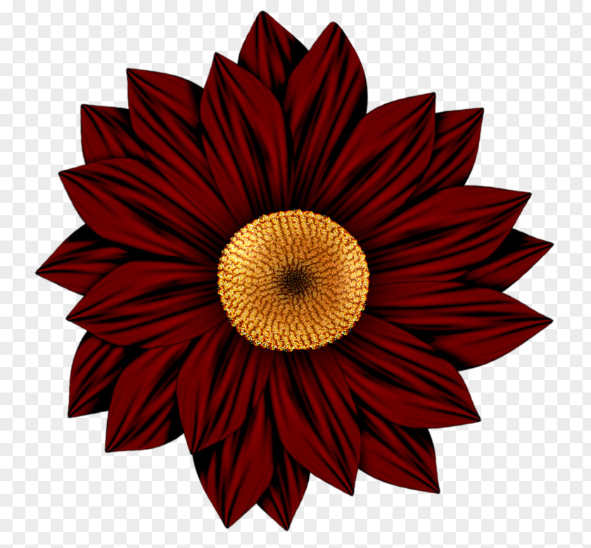 Red Sunflower Flower Drawing Art Clip PNG