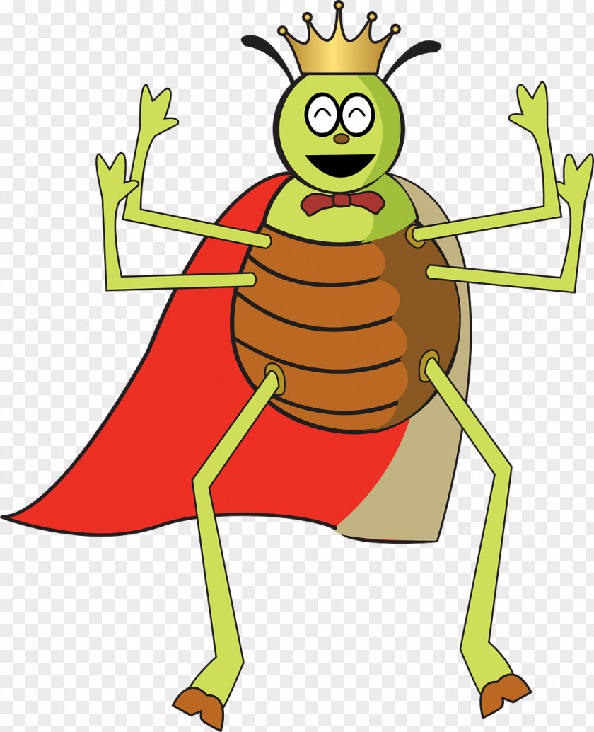 And Piu Mo Lang Insect Stock.xchng Image Flea Clip Art PNG