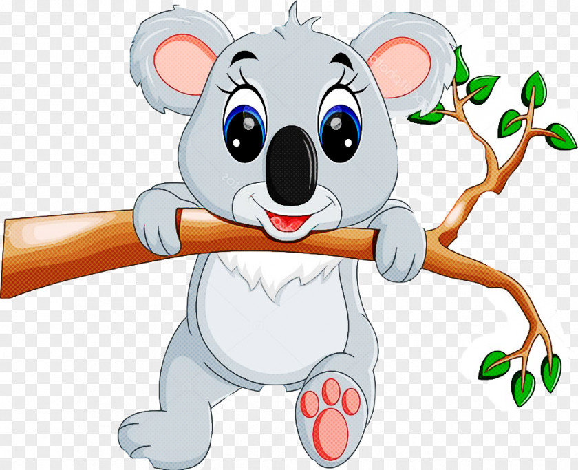 Cartoon Koala Snout Animation PNG