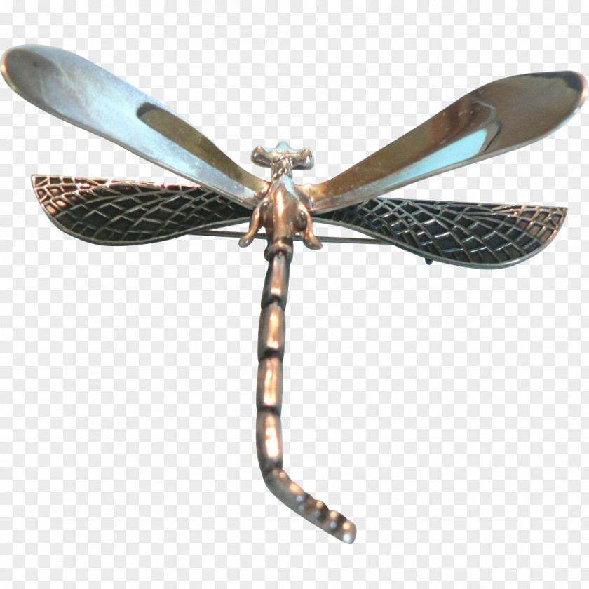 Dragonfly Insect Invertebrate Membrane PNG