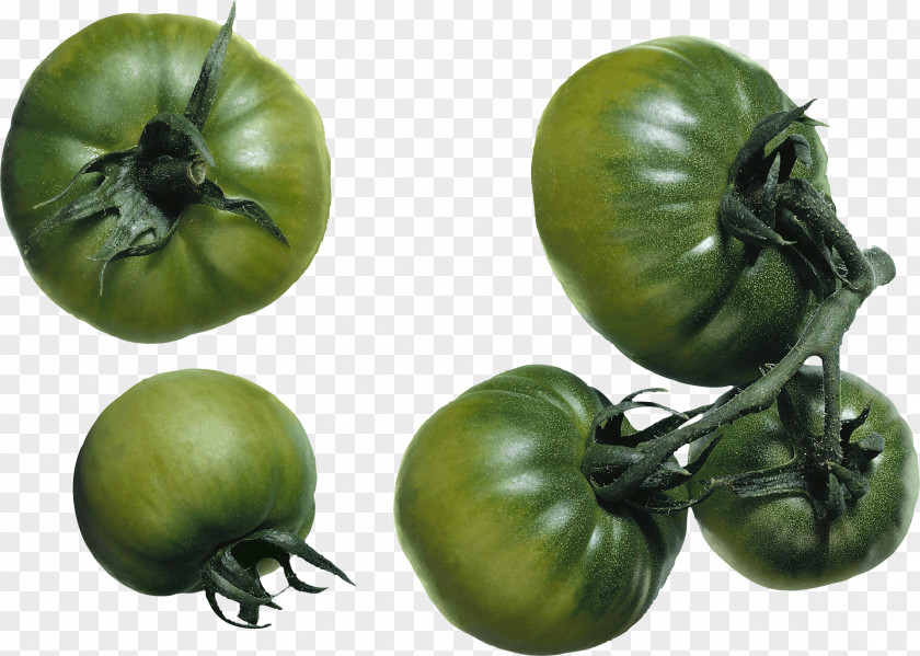 Green Tomato Image File Formats PNG
