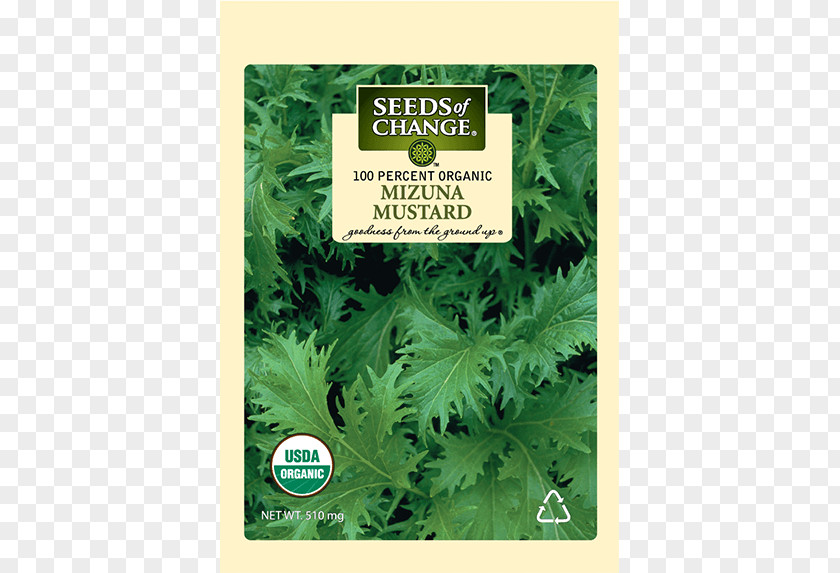 Vegetable Organic Food Coriander Seeds Of Change Leaf PNG