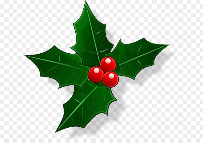 Common Holly Christmas Day Clip Art Vector Graphics Image PNG