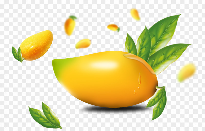 Mango Element Lemon PNG
