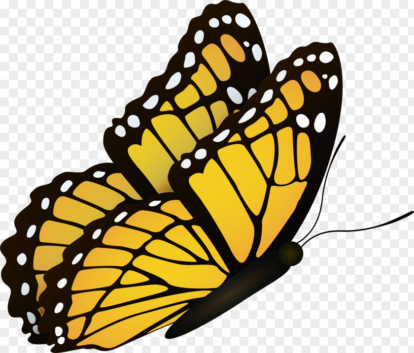 Yellow Pollinator Monarch Butterfly PNG