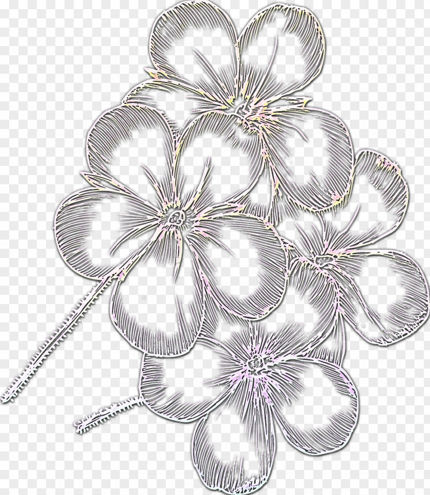 Petal Plant Flower Silver Metal PNG