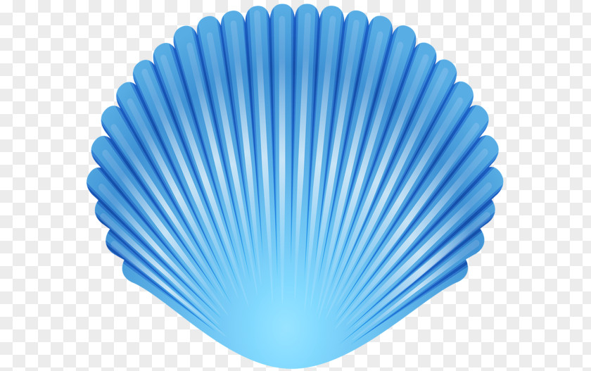 Seashell Crown Art Clip PNG