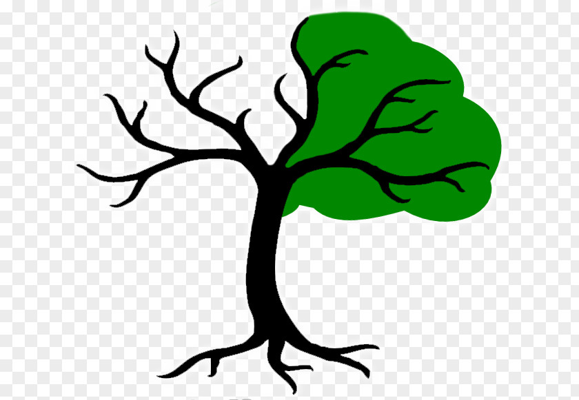 Tree Clip Art PNG