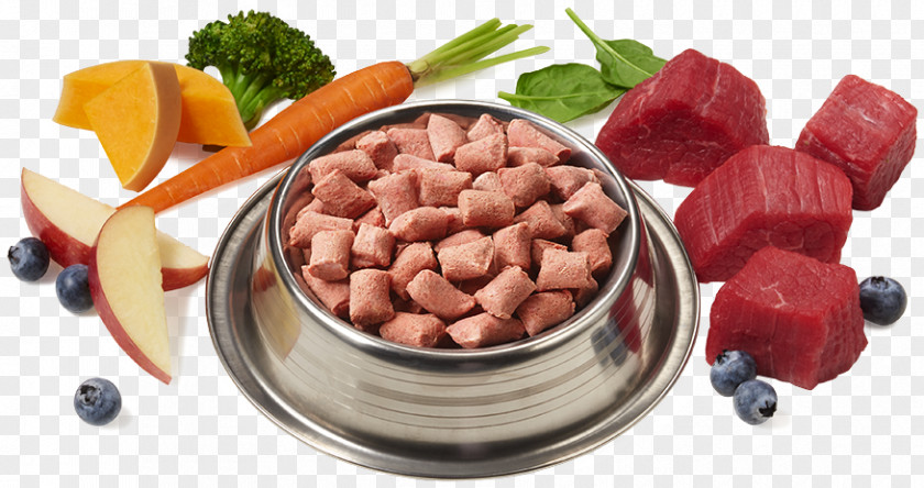 Cat Bowl Vegetarian Cuisine Raw Foodism Dog Food PNG