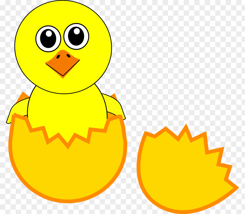 Cute Chicken Cliparts Cartoon Egg Clip Art PNG