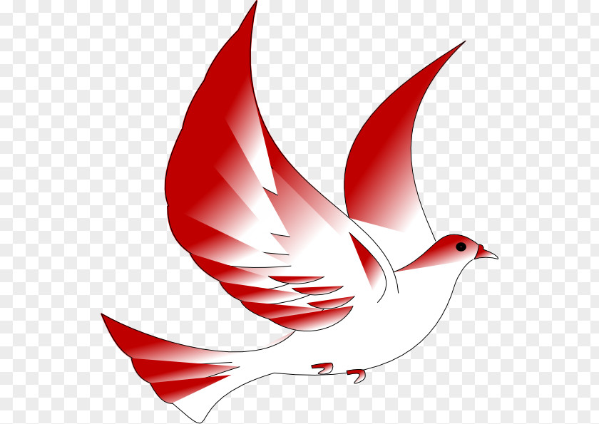 Free Confirmation Clipart Columbidae In The Catholic Church Symbol Clip Art PNG