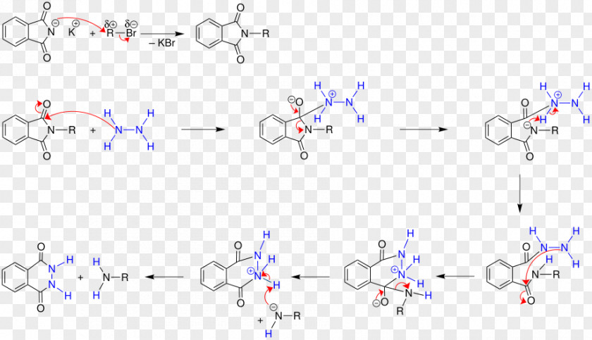 Hydrazide Gabriel Synthesis Organic Chemistry Name Reaction Text PNG