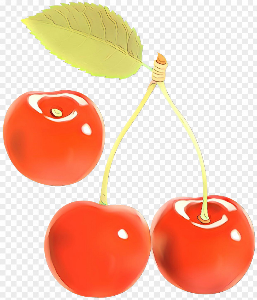 Prunus Food Apple Cartoon PNG