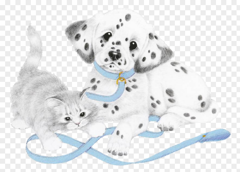 Puppy Dalmatian Dog Kitten Breed Cat PNG