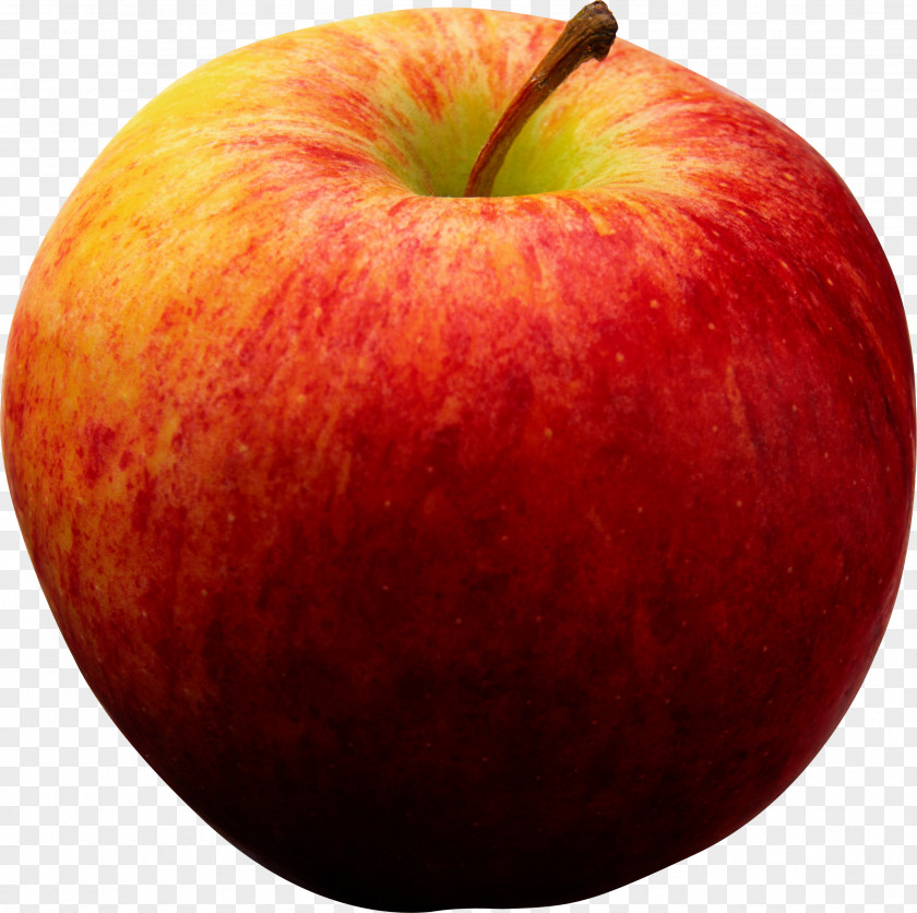 Red Apple An A Day Keeps The Doctor Away Martha Jones Dalek PNG