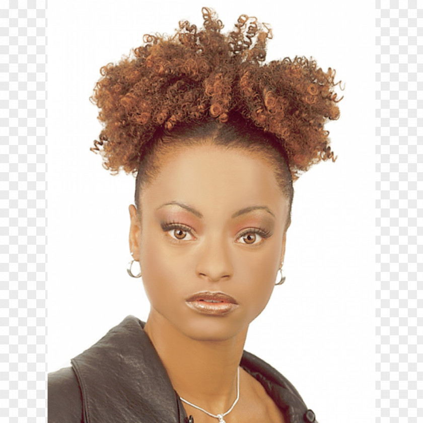 Samba Afro Wig Hair Coloring Jheri Curl PNG