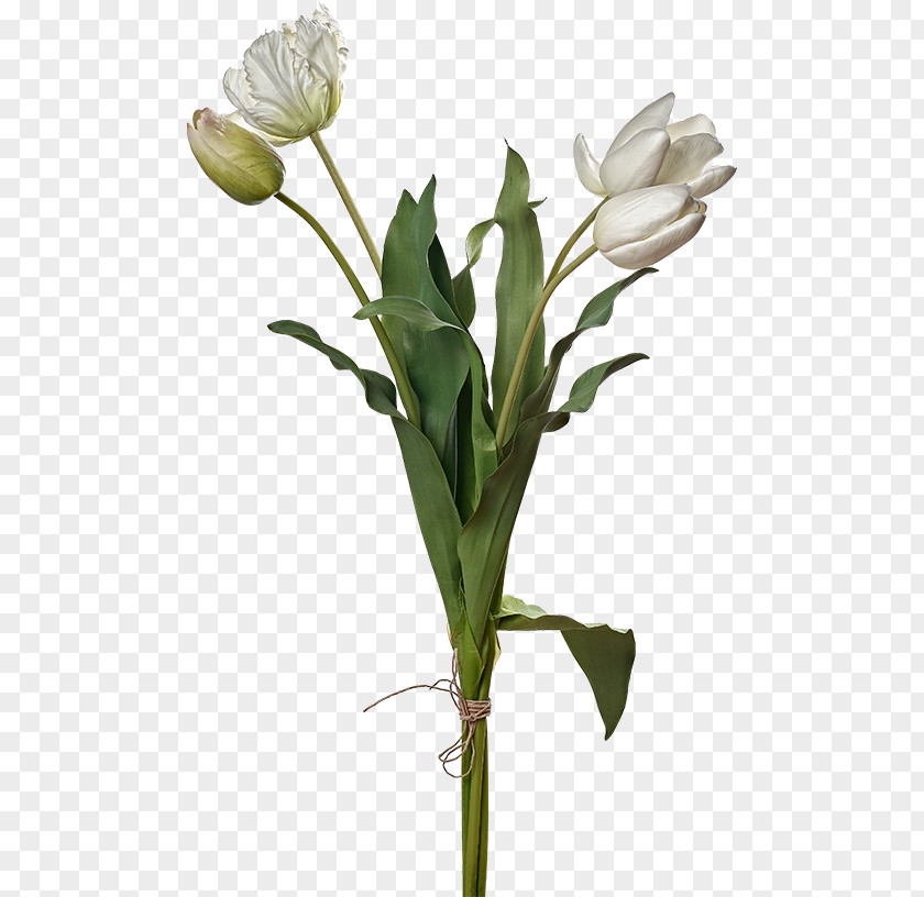 Tulip Cut Flowers Plant Stem Flower Bouquet PNG