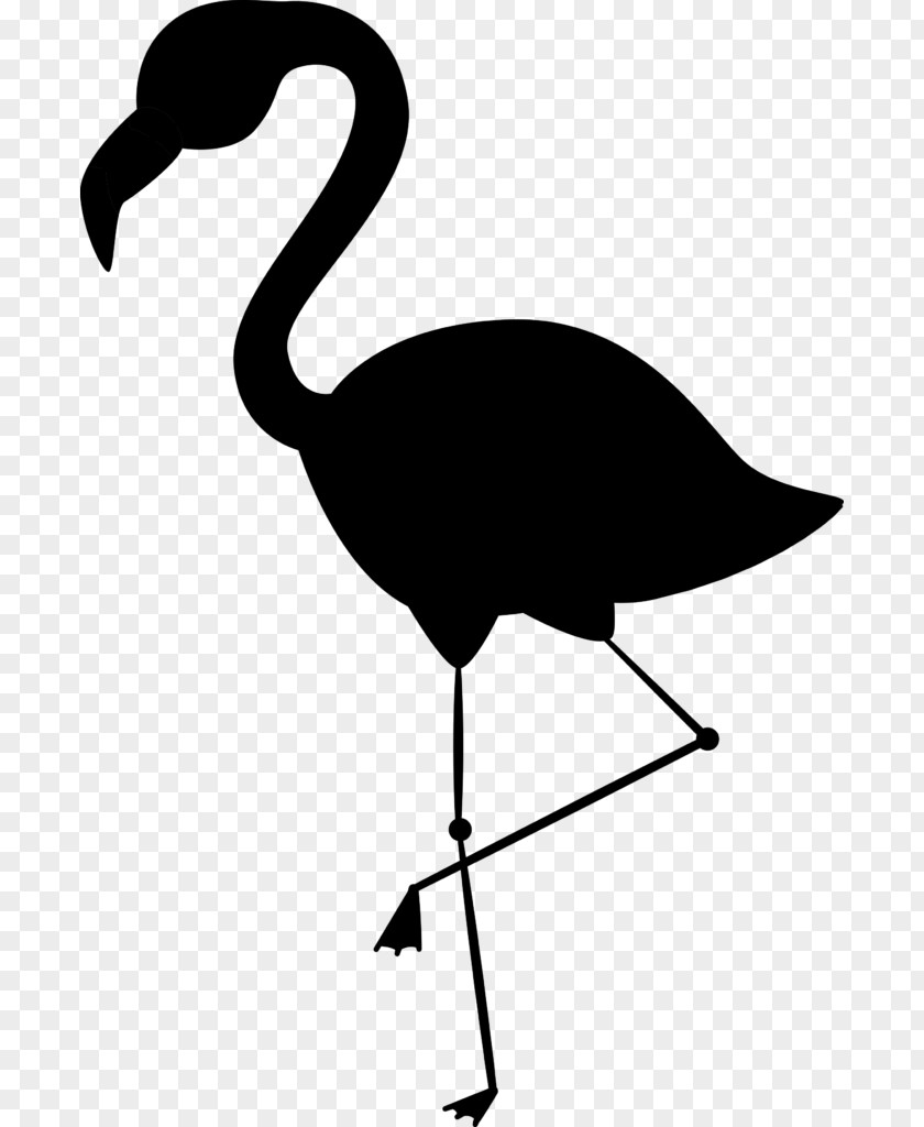 Clip Art Vector Graphics Image Flamingo Bird PNG