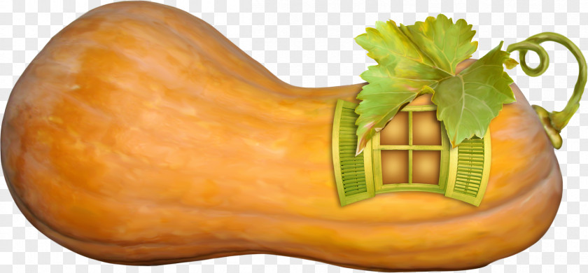 Vegetables Icons Picture Material,Pumpkin House Pumpkin Calabaza Cucurbita Maxima Gourd Winter Squash PNG