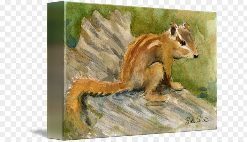 Watercolor Painting Animal Chipmunk Art Mixed Media PNG