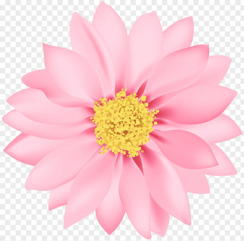 Artificial Flower PNG