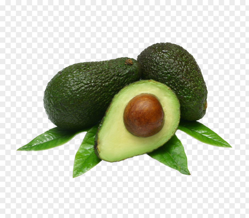 Avocado Hass Desktop Wallpaper Fruit Tree Display Resolution 1080p PNG