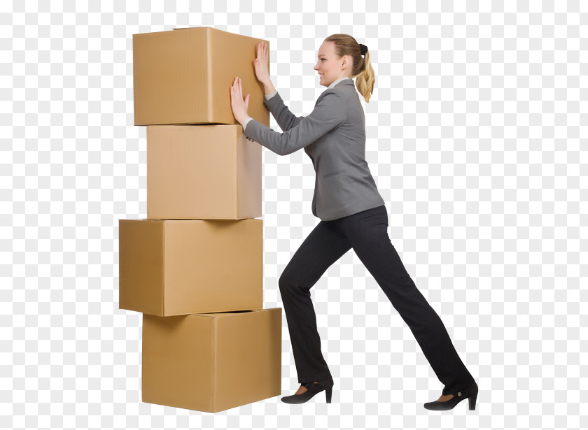 Box Cardboard Carton PNG