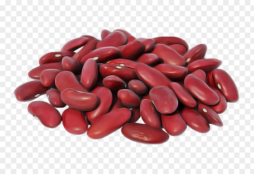 Kidney Bean Common Vegetable Red Beans And Rice PNG