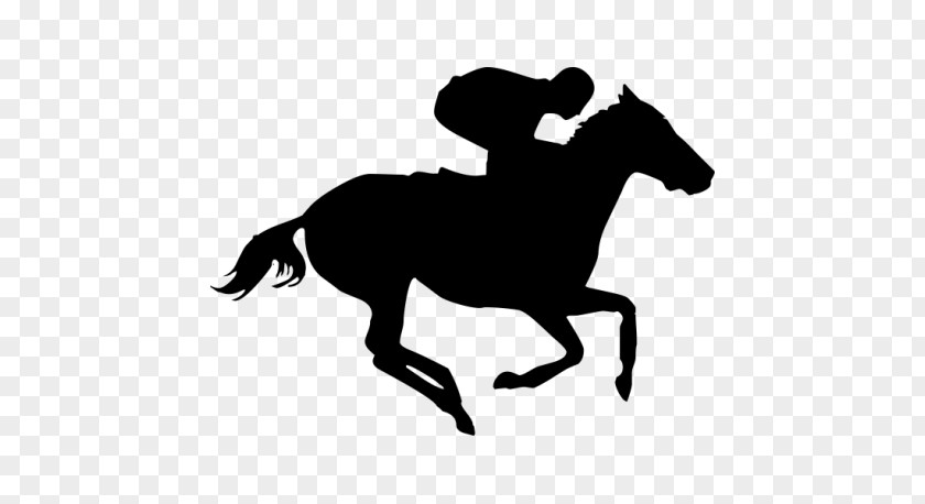 Thoroughbred Daily News Horse Racing Jockey Clip Art PNG