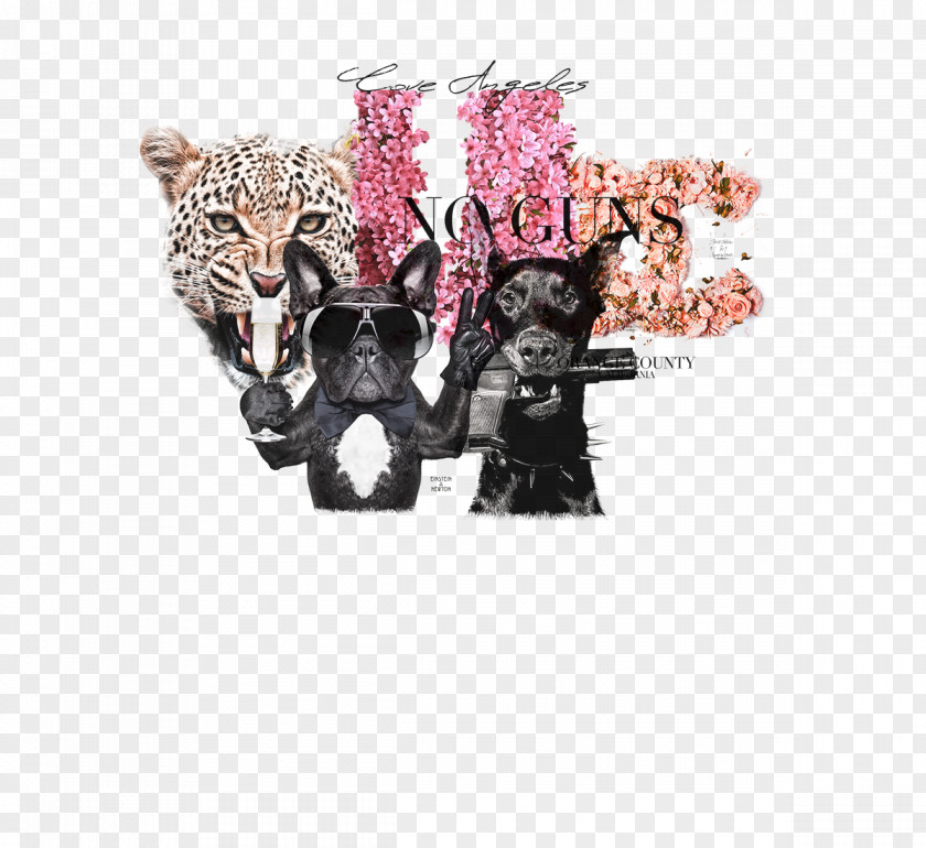 All Time Fur Pink M Animal PNG
