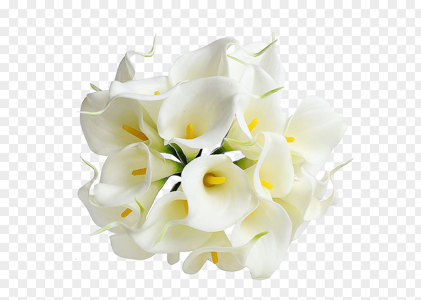 Calla Transparent Image Arum-lily Flower Bouquet Wedding Bride PNG