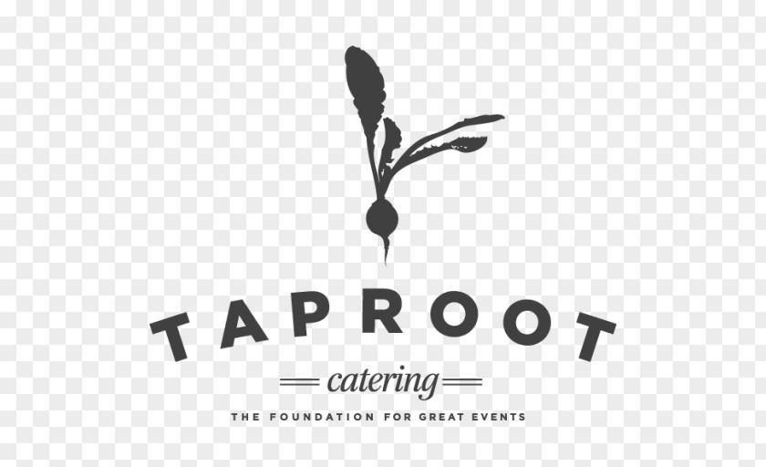 Catering Logo Main Street Kent Taproot Design Brand PNG
