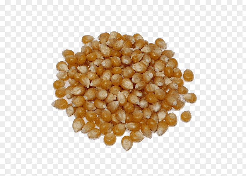 Cereal Germ Grains, Beans & Pulses Maize PNG