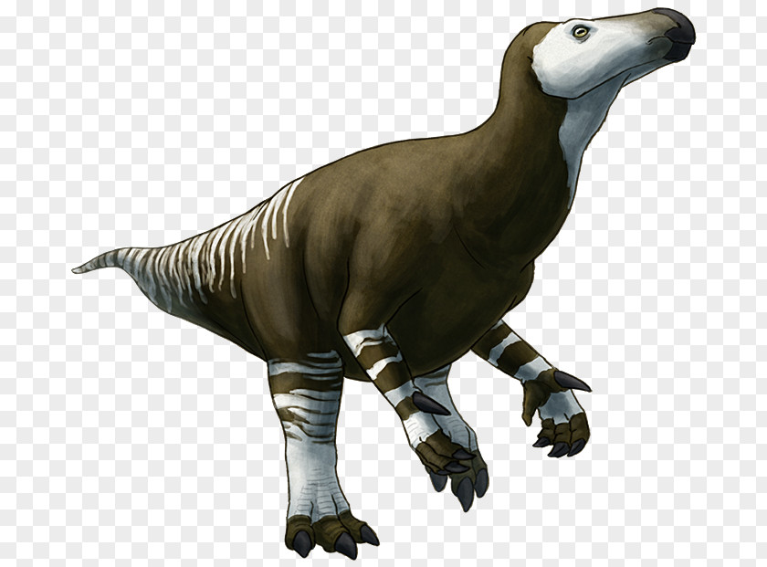 Dinosaur Hippodraco Allosaurus Herrerasaurus Iguanodontia PNG