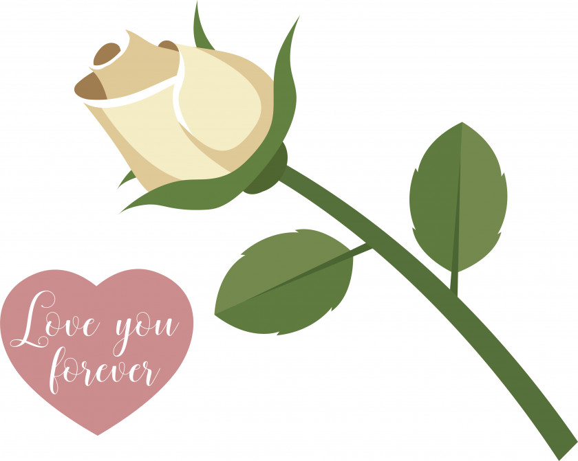 Garden Roses PNG