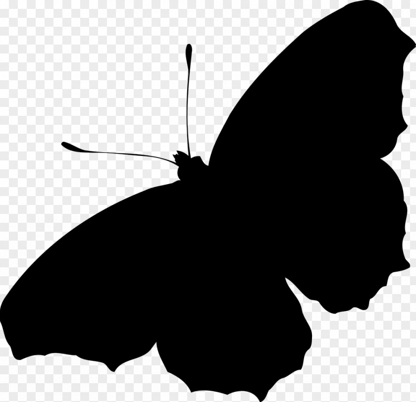 Peacock Butterfly Silhouette Clip Art PNG