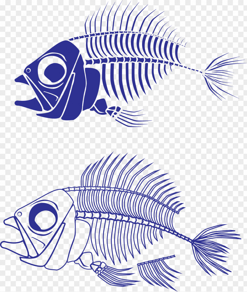 Skeleton Fish Bone Clip Art PNG