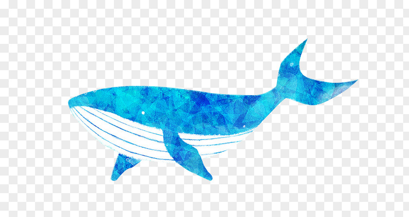 Blue Whale Cartoon PNG